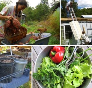 Mobile Home Roofing and Par-cel Cutting Celery Image
